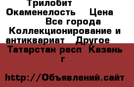 Трилобит Asaphus. Окаменелость. › Цена ­ 300 - Все города Коллекционирование и антиквариат » Другое   . Татарстан респ.,Казань г.